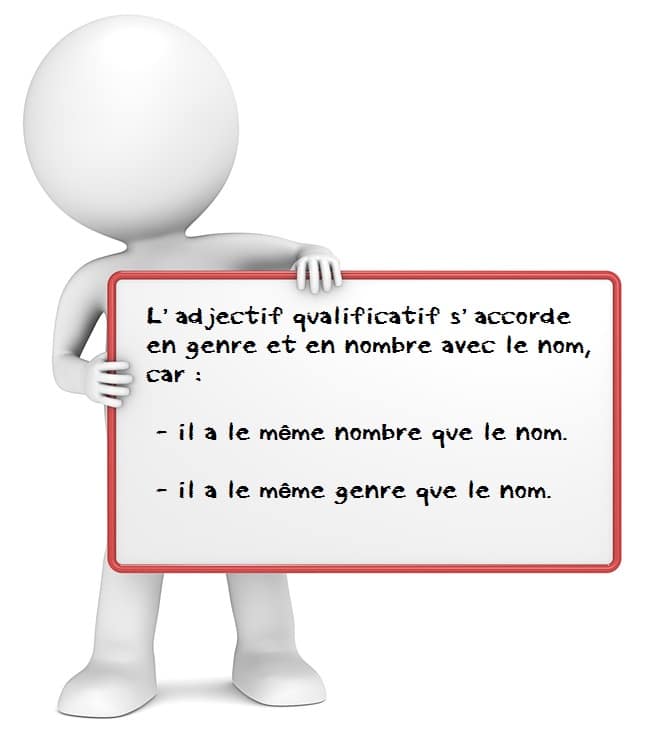 Leçon de grammaire française pour apprendre à accorder l'adjectif qualificatif avec le nom.