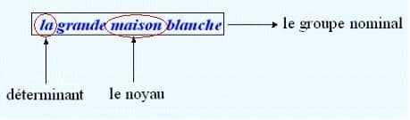 Exemple de groupe nominal : cours de français