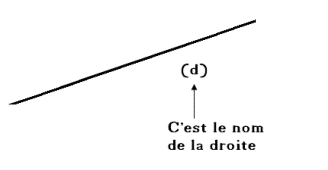 Nommer des droites avec des lettres et des parenthèses.