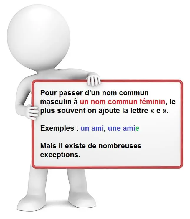 Féminin du nom