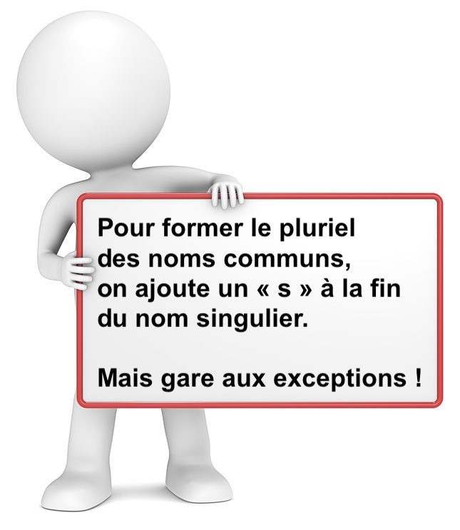 Le pluriel des noms communs