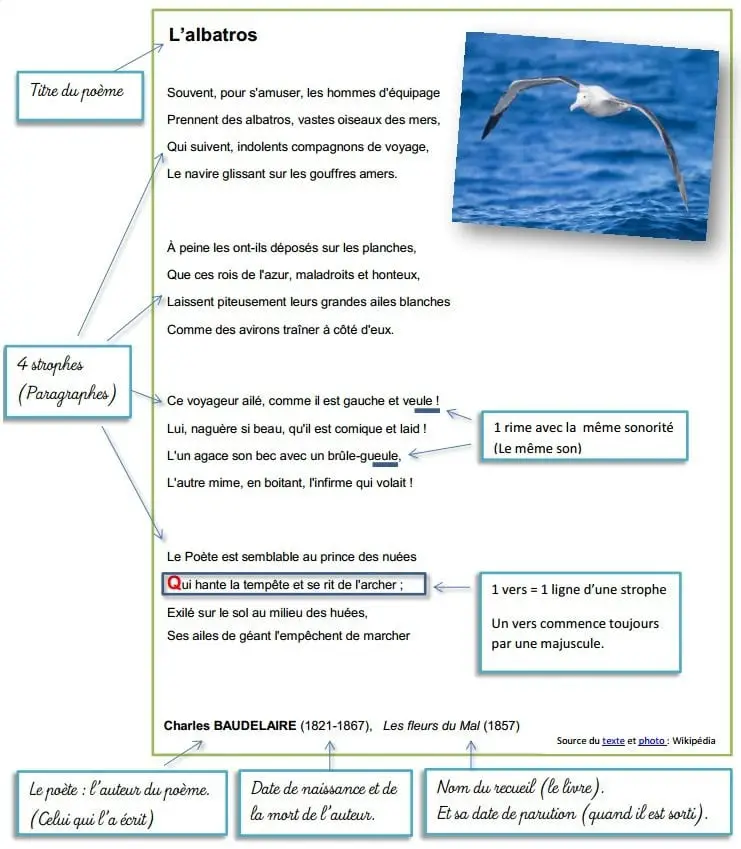 poesie-poeme-albatros-3