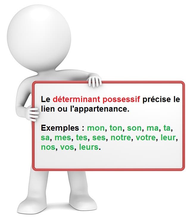 Les déterminants possessifs : cours de grammaire française