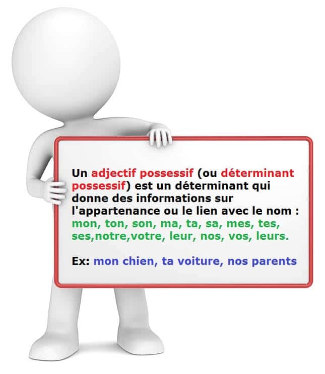 Les adjectifs possessifs : apprendre la langue française