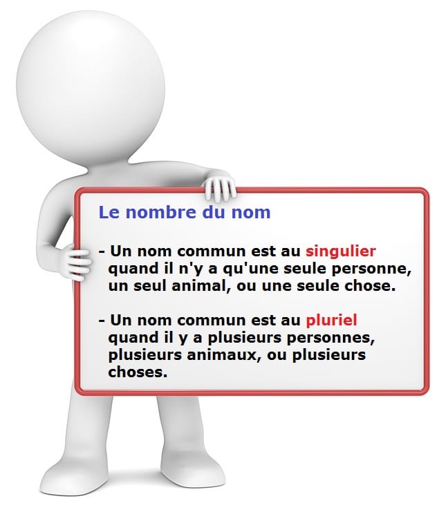 le singulier et le pluriel des noms communs : le nombre du nom