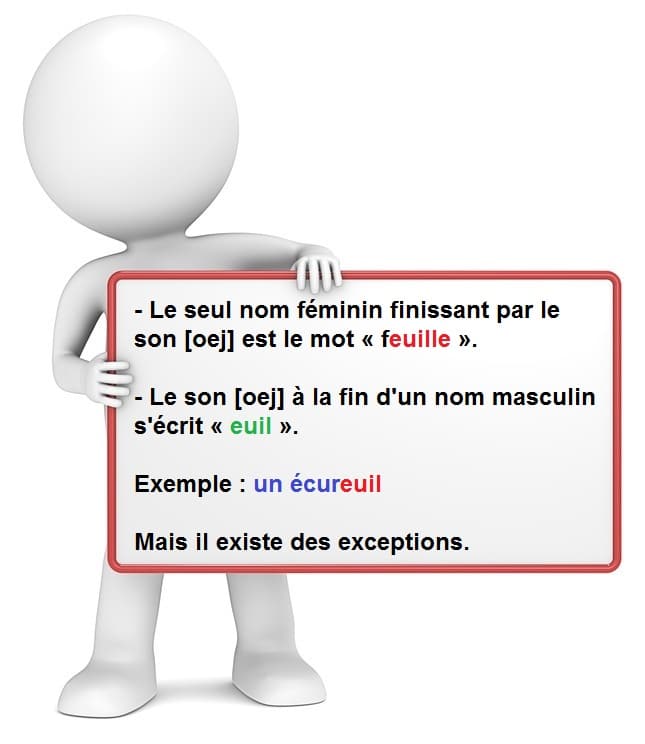 Leçon d'orthographe : écrire les mots finissant avec les lettres euil, euille ou ueil.