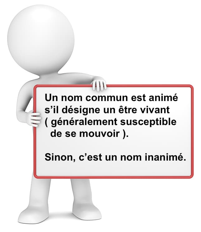 Le nom animé et le nom inanimé