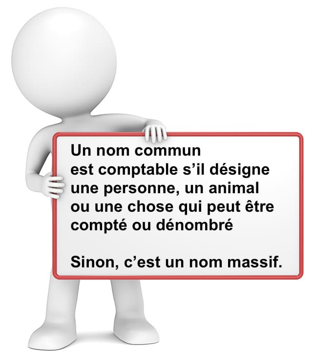 Le nom comptable et le nom massif