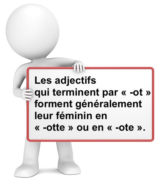 Le féminin des adjectifs en -ot