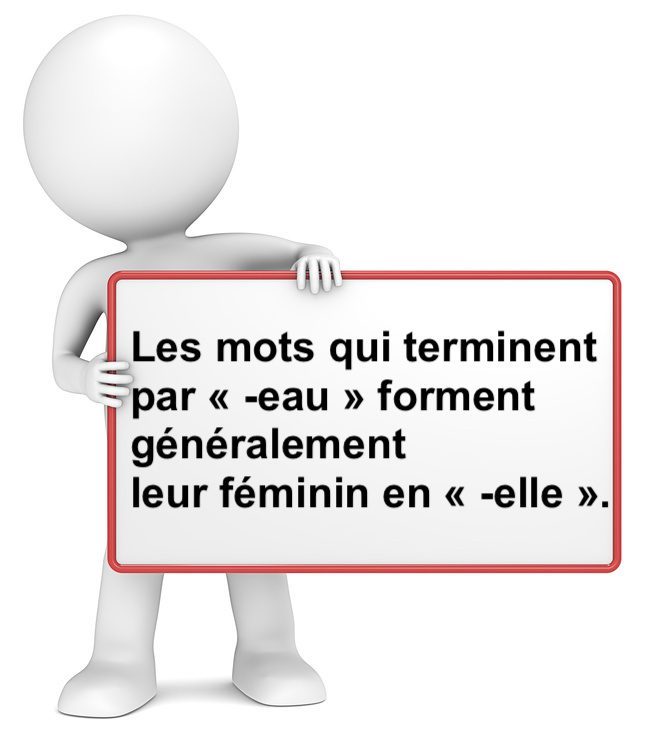 Le féminin des mots en -eau