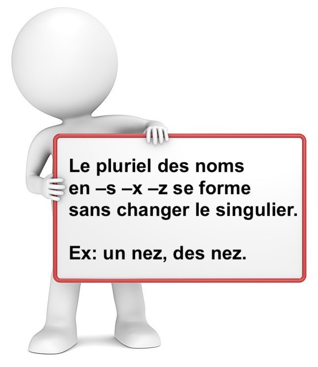 Pluriel Des Noms En S X Z