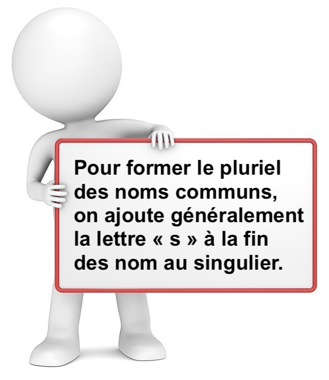 Le pluriel des noms communs