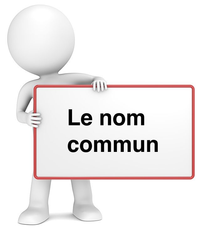 Le nom commun