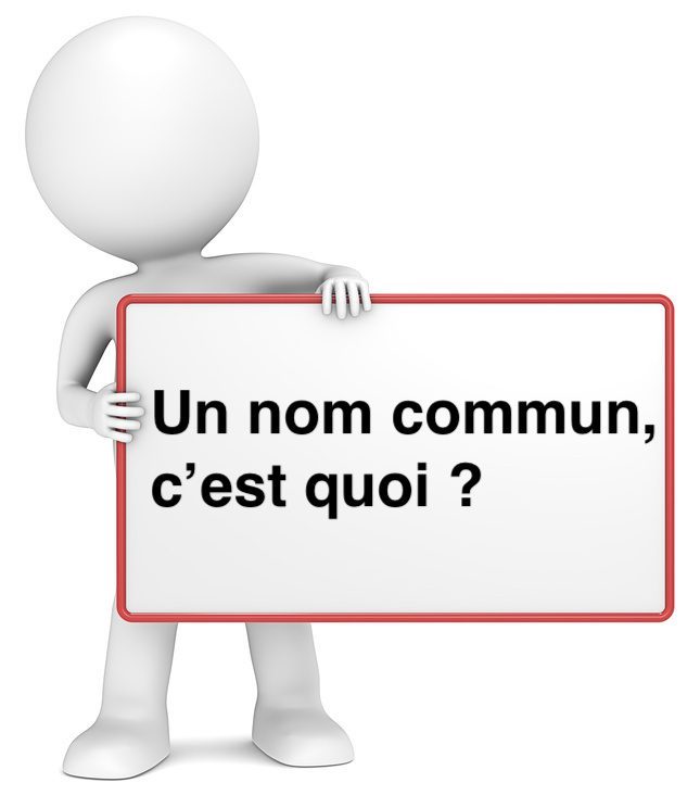 Un nom commun, c'est quoi ? Leçon de grammaire française.