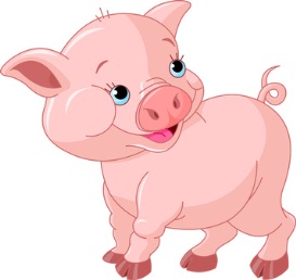 Cochon