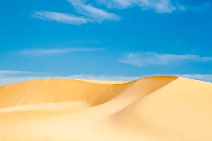 Dune