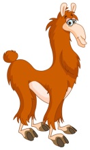 Lama