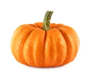 Potiron