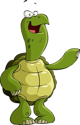 Tortue
